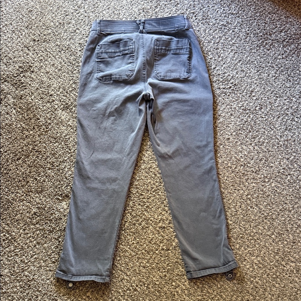 Democracy Absolution Gray Pants - image 13